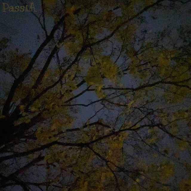 Обкладинка PassiA — Сором'язливість