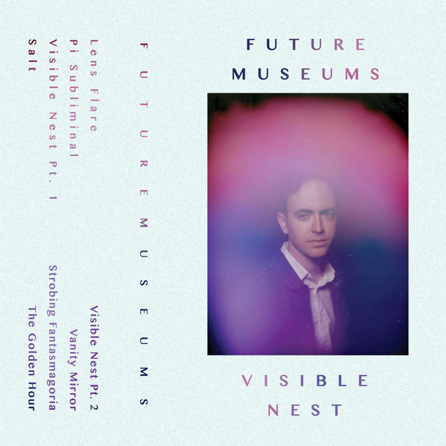 Visible Nest cover art