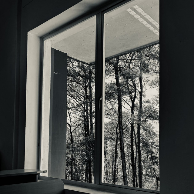 Fragment album image