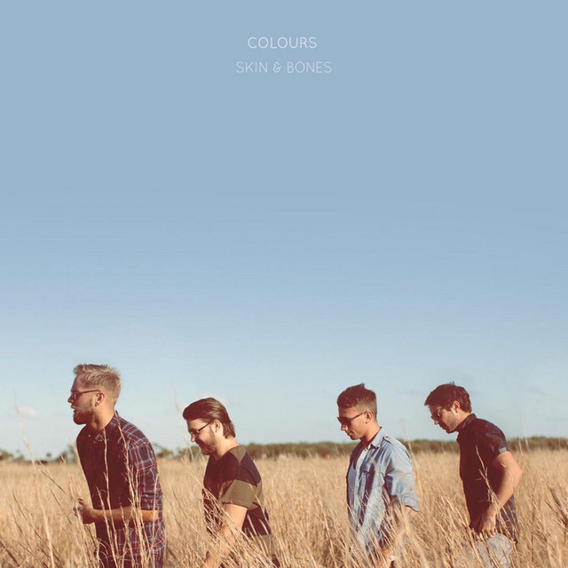 Skin & Bones cover art