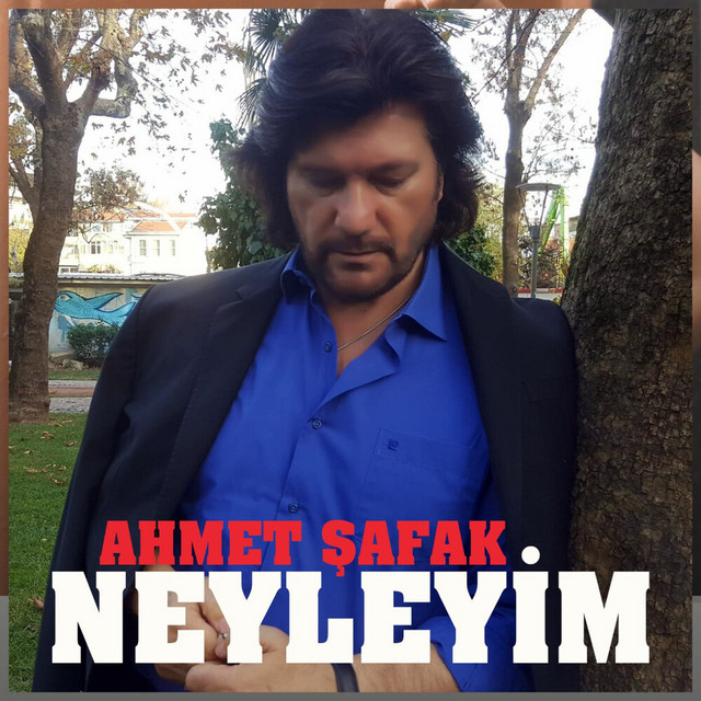 Neyleyim cover art
