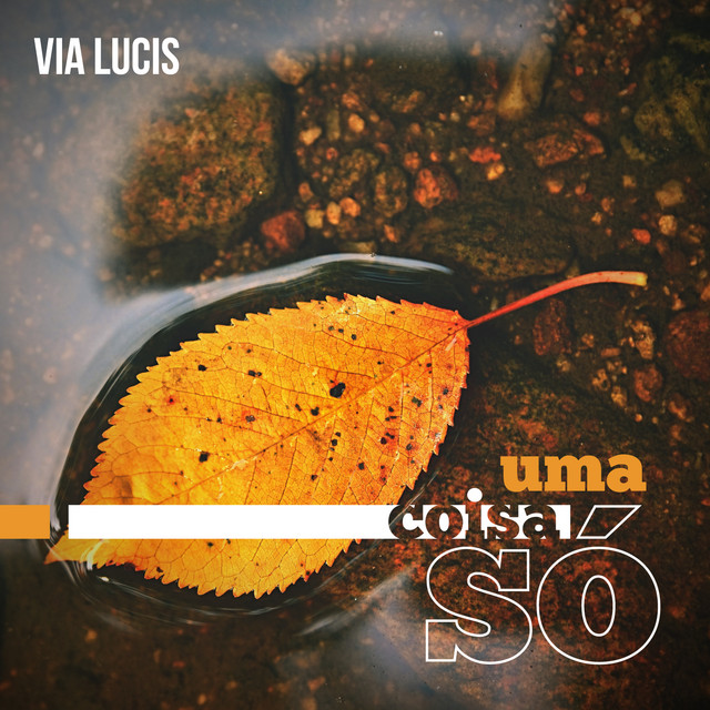 Uma Coisa Só cover