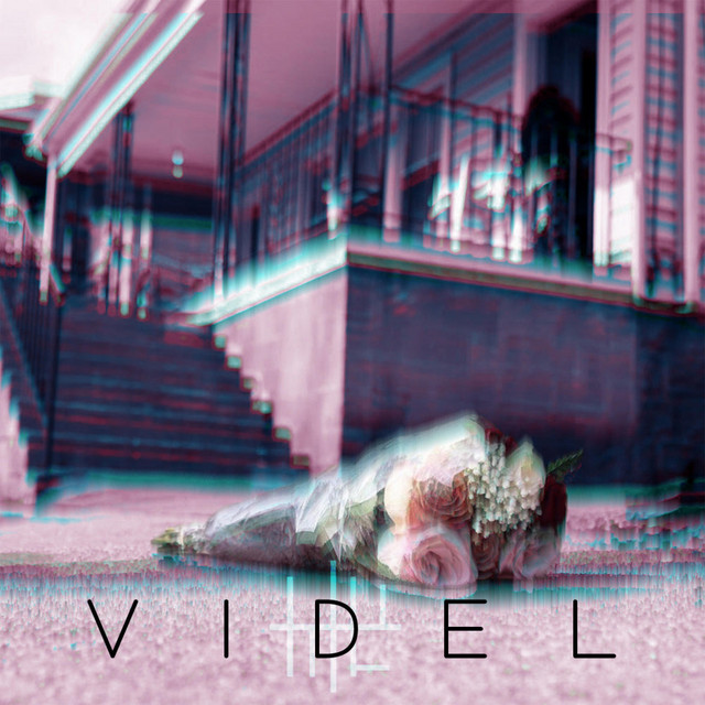 Videl cover art