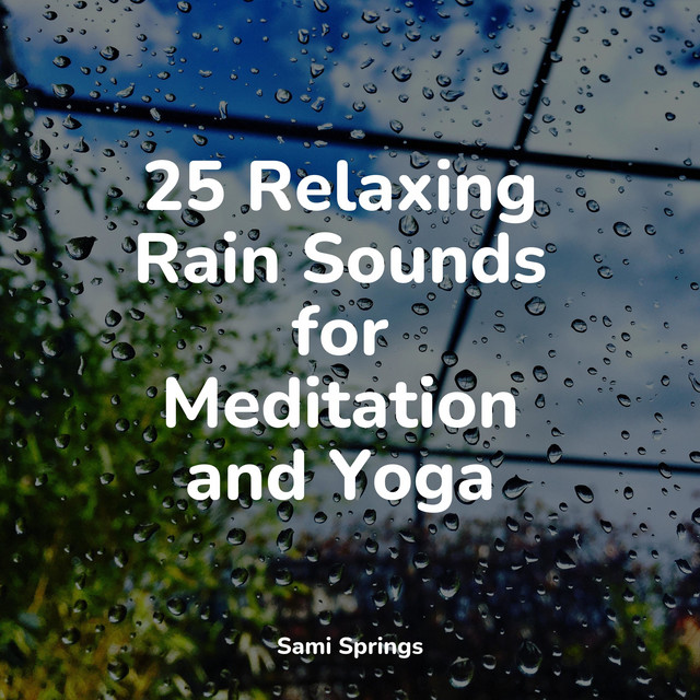 25 Relaxing Rain Sounds for Meditation and Yoga - Album by Rain ...