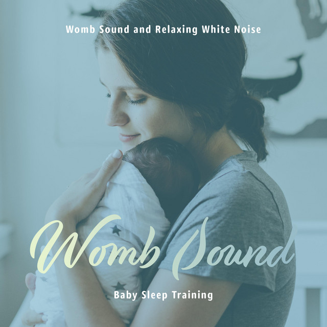 Baby Sleep Training - Womb Sound and Relaxing White Noise cover art