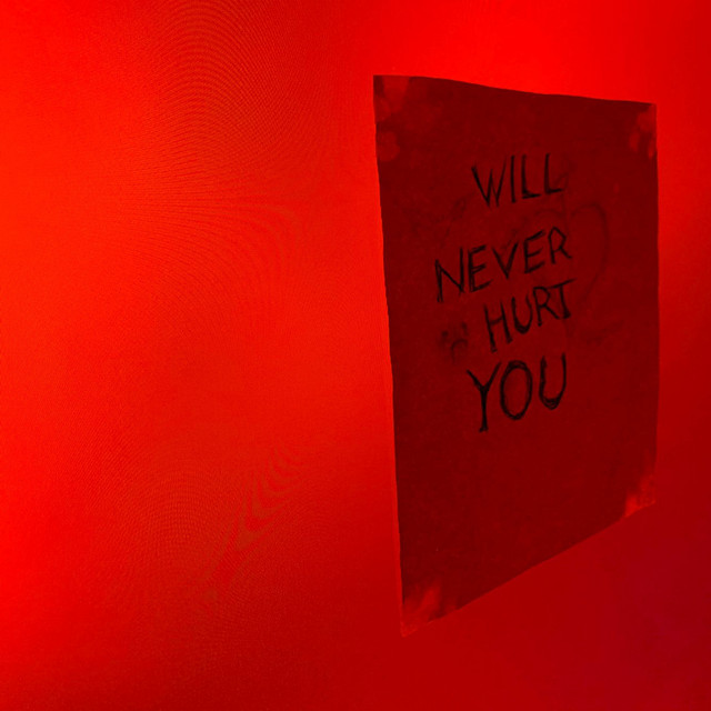 Will Never Hurt You cover art