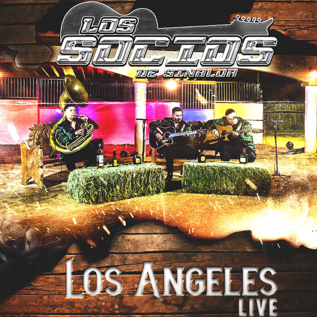 Pa' Quien Le Guste Criticar - Live cover art
