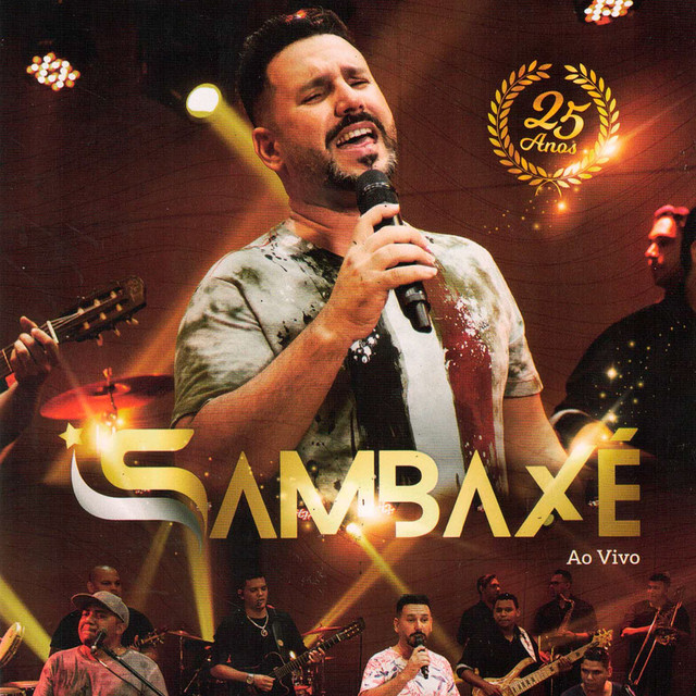 25 ANOS (Ao Vivo) cover art