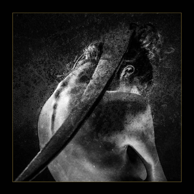 Smrti sel cover art