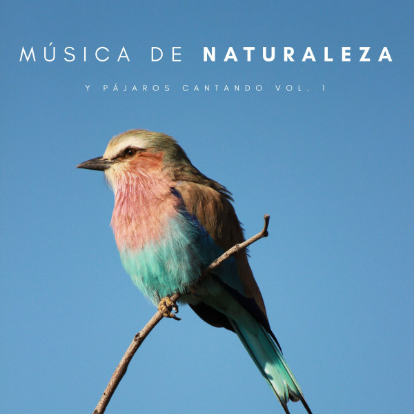 Música De Naturaleza y Pájaros Cantando Vol. 1 cover art