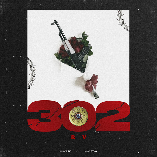 302 cover art