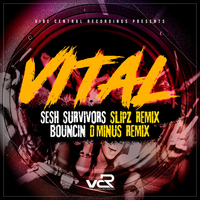 Sesh Survivors - Slipz Remix artwork