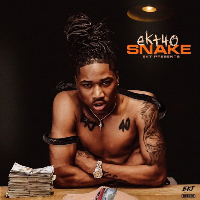 Snake - Single by EKT 40 | Spotify