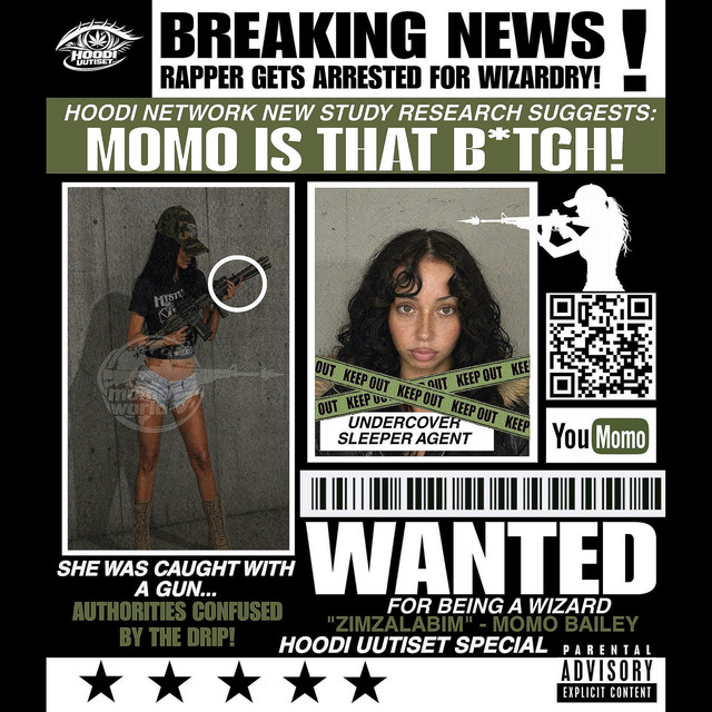VELHO cover art