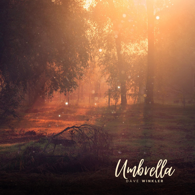 Umbrella cover art