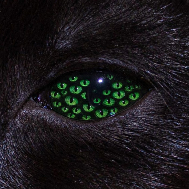 TREAD LIGHTLY cover art