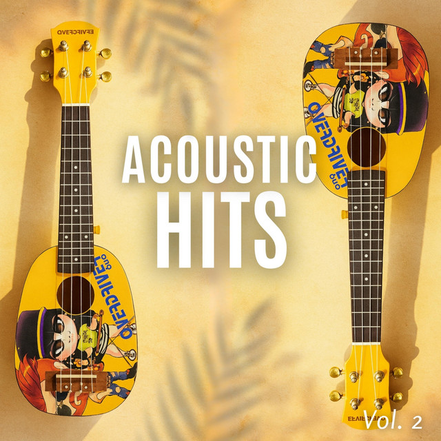 Acoustic Hits, Vol. 2 cover art