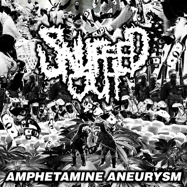 Amphetamine Aneurysm cover art
