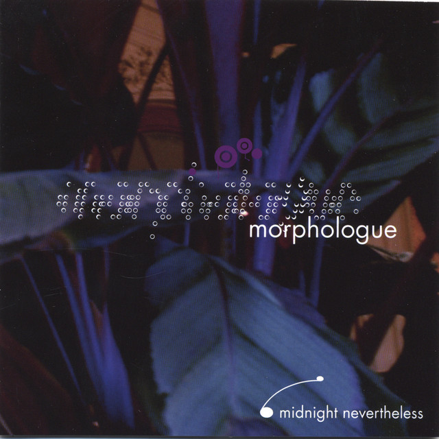 Midnight Nevertheless cover