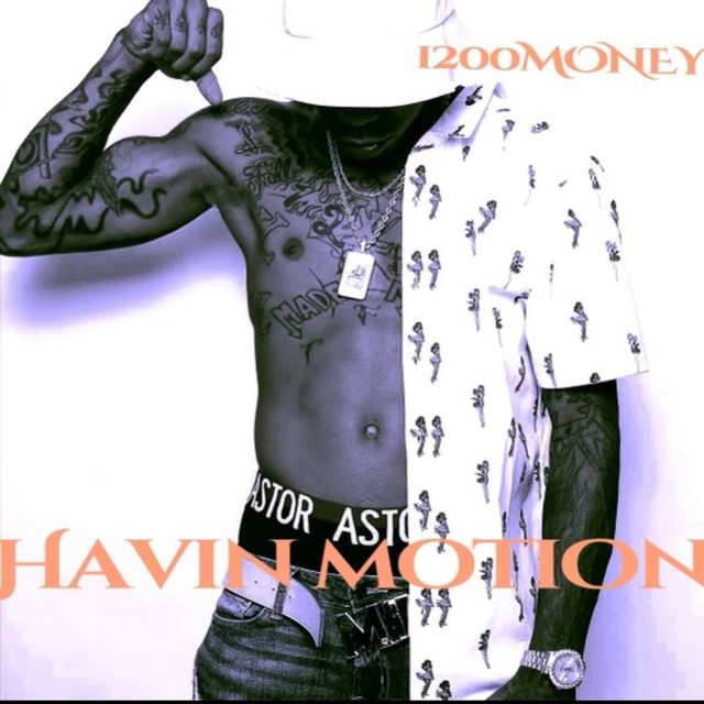 Havin Motion cover art