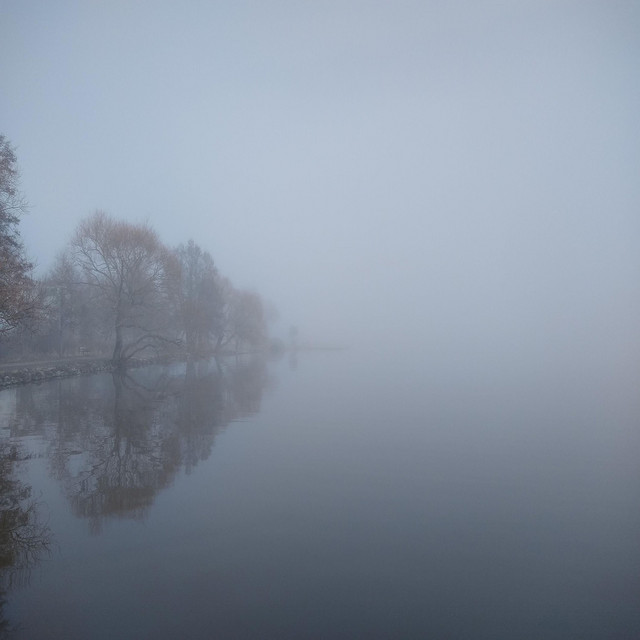 Fog (single)