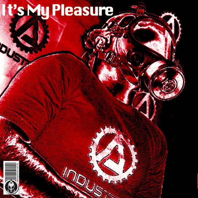 It's My Pleasure cover