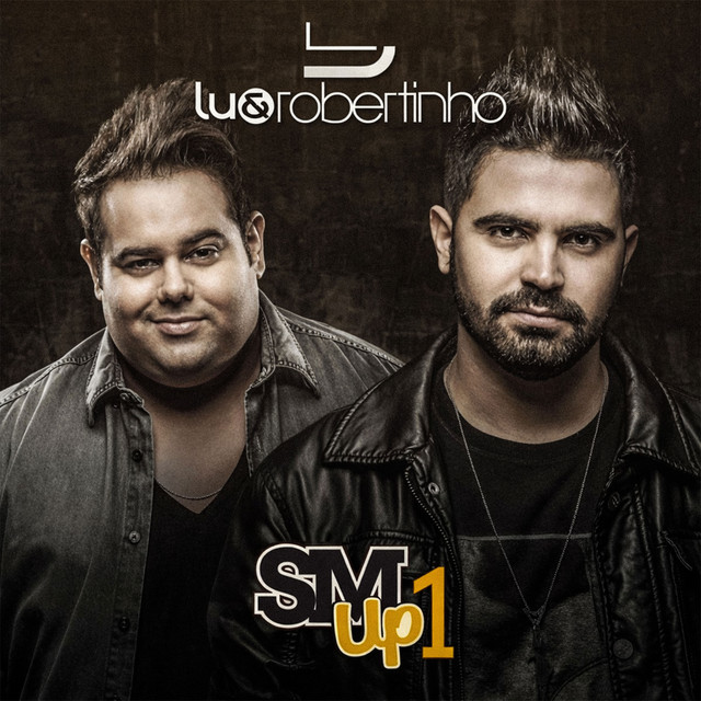Sertanejo Mashup 1 cover art