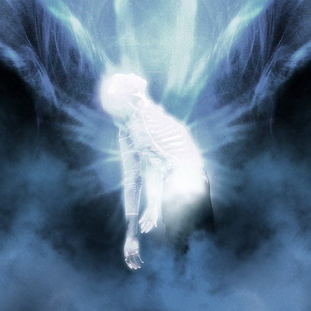 Where Does The Light Get In? cover art