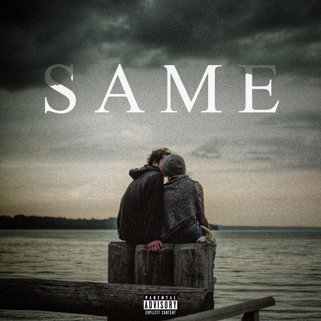 Same cover art