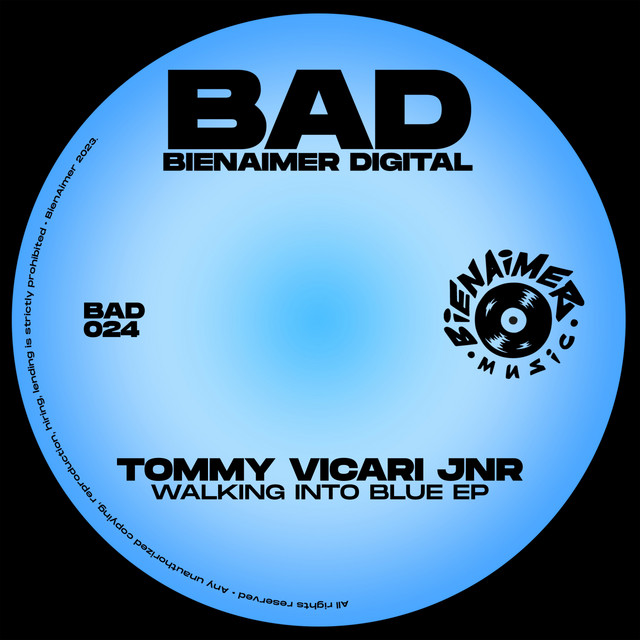 Vulgar Displays Dub album art