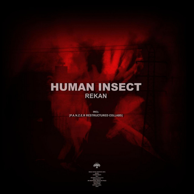 Rekan - P.A.N.Z.E.R Restructured Mix cover art
