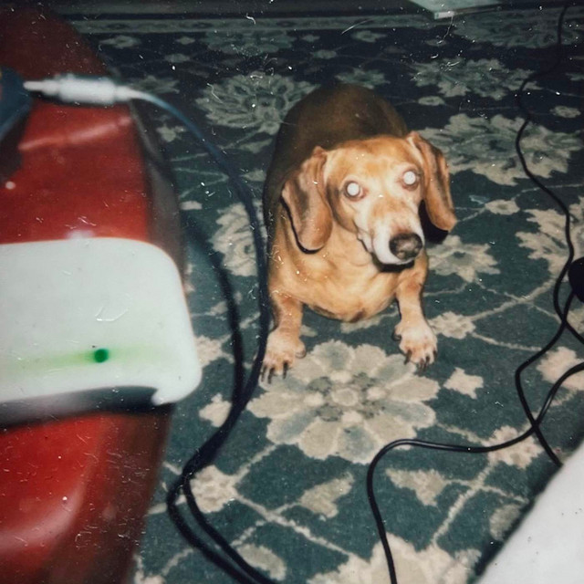 Grief in V Stages cover art