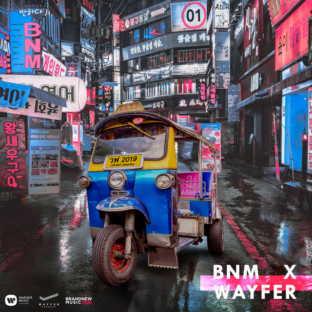 BNM X WAYFER cover
