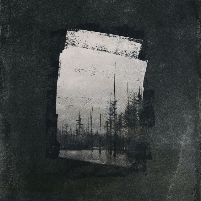 Capture cover art