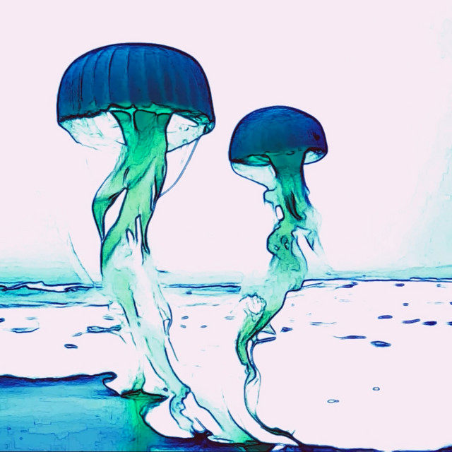 Herbe