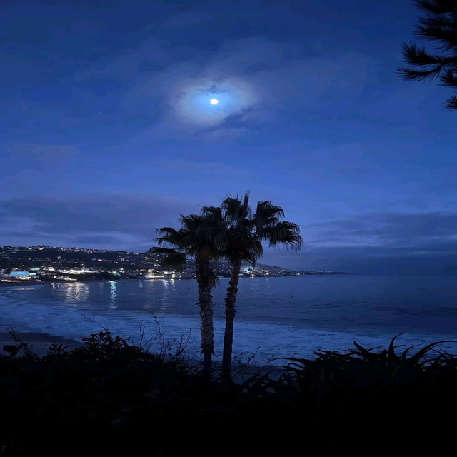 Midnite cover art