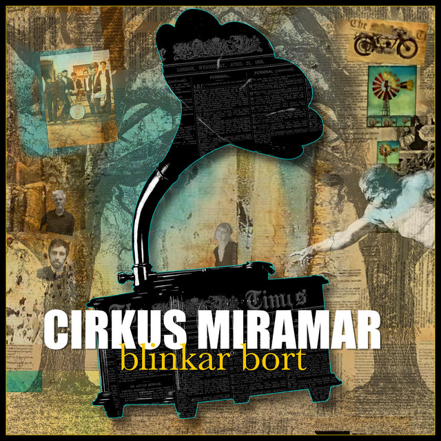 Blinkar bort cover