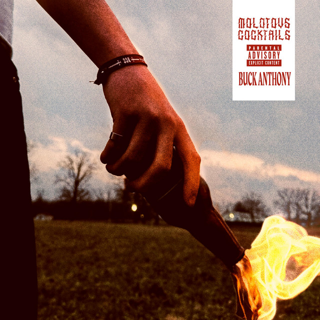 Molotovs & Cocktails cover art
