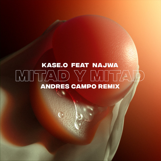 Mitad y Mitad (Andres Campo Remix) cover