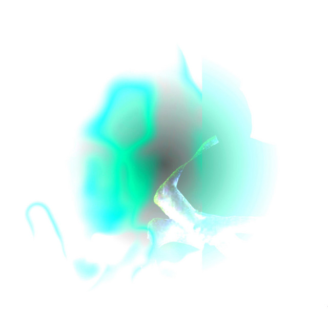 Reset cover art