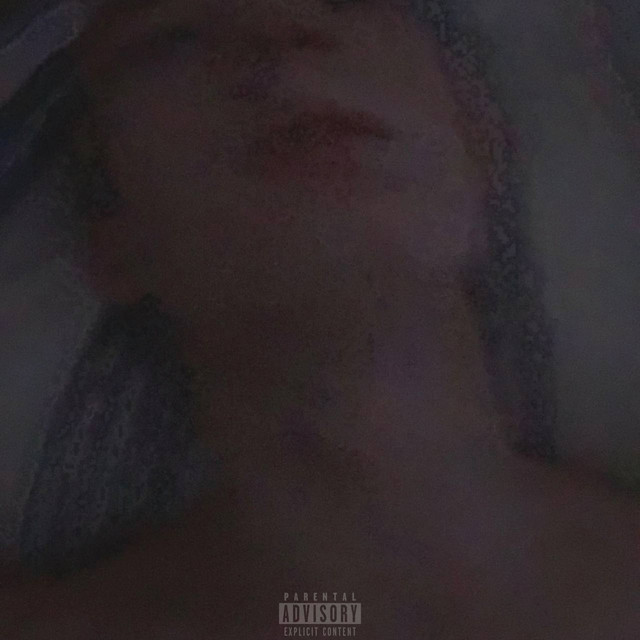 Cover art for Shodely — Nights Gone