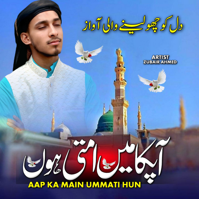 Zubair Ahmed