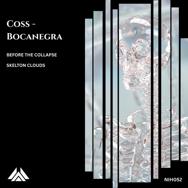Before the Colapse album art