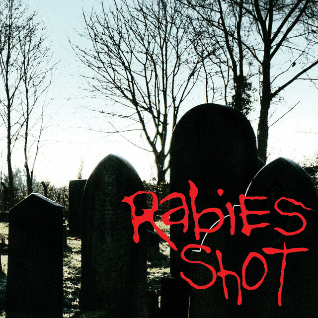Rabies Shot