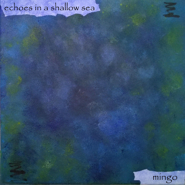 Echoes in a Shallow Sea cover art