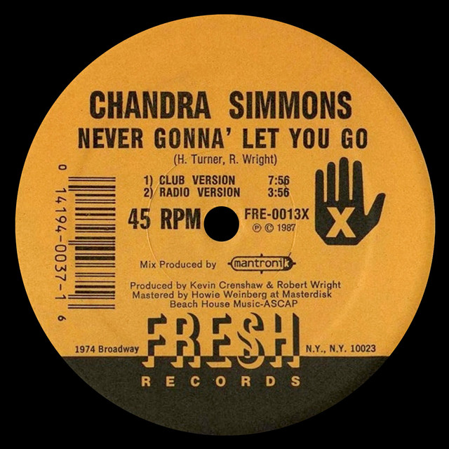 Never Gonna Let You Go - EP by Chandra Simmons | Spotify