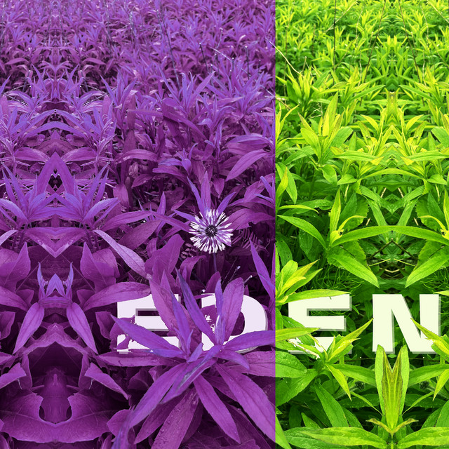 eden album image