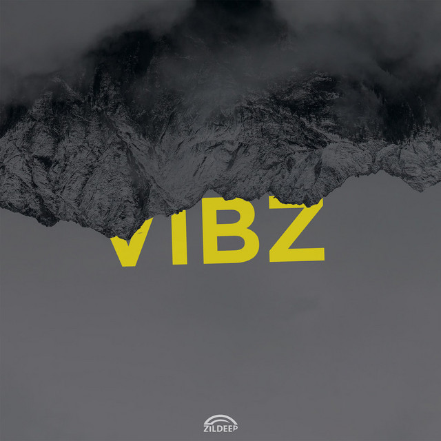 Vibz cover