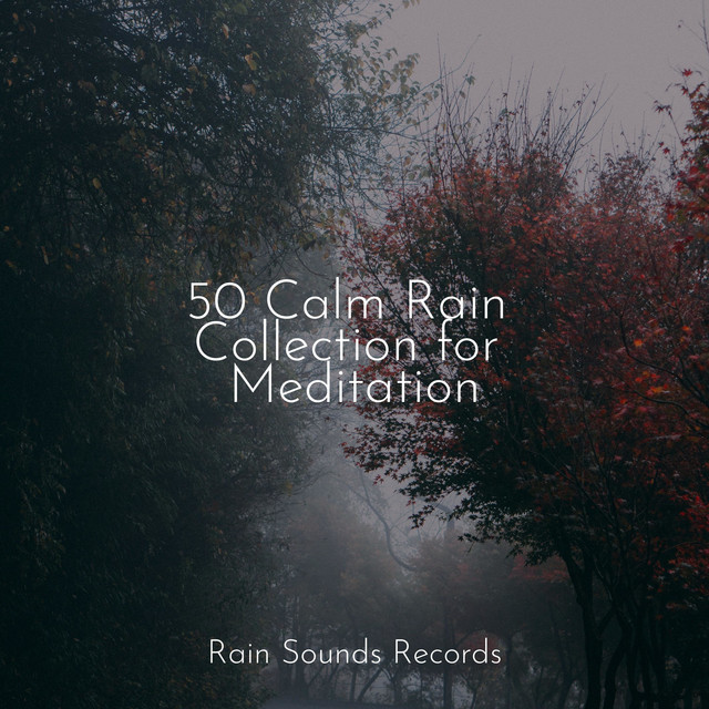 50 Calm Rain Collection for Meditation - Album by Sons da natureza HD ...
