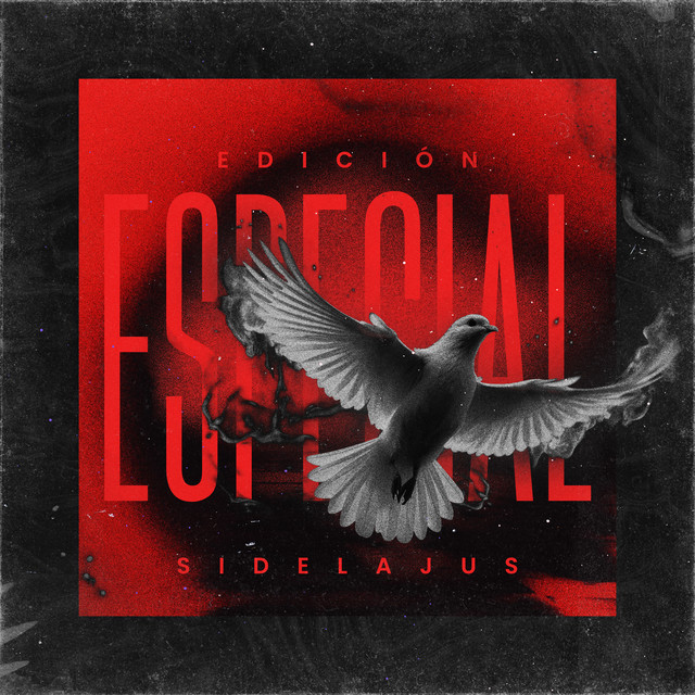 Edición Especial cover art